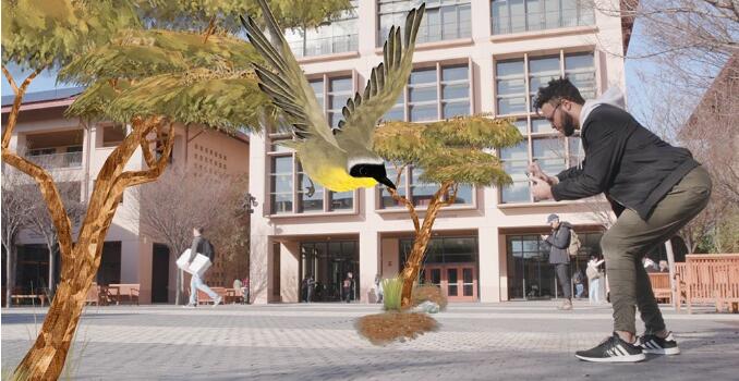 《Krikey》應(yīng)用包含兩個以保護自然為主題的游戲